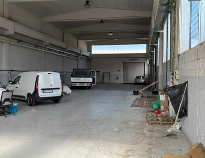 immagine annuncio 2 di 6