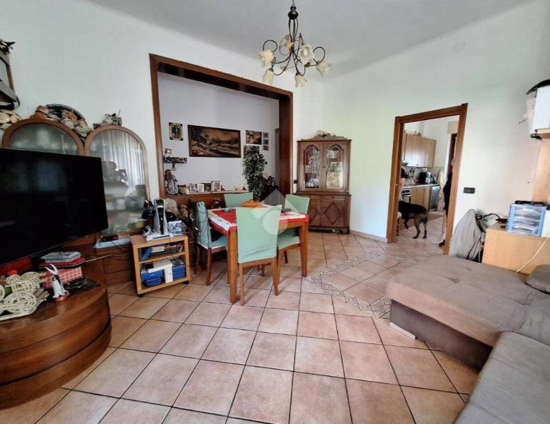 immagine annuncio 2 di 14