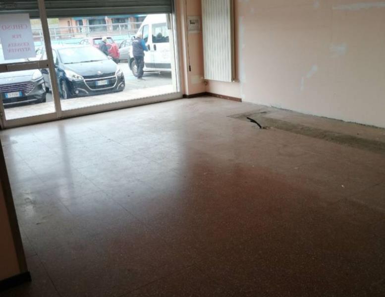 immagine annuncio 4 di 14