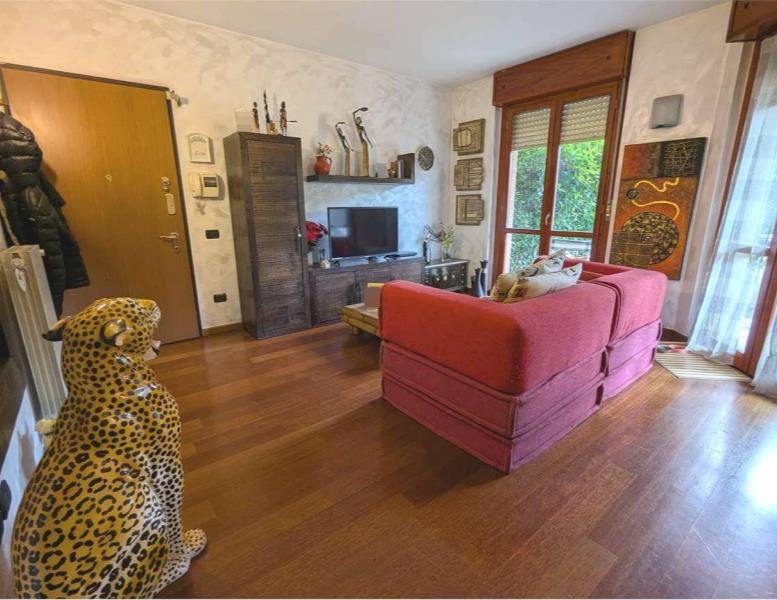 immagine annuncio 5 di 15