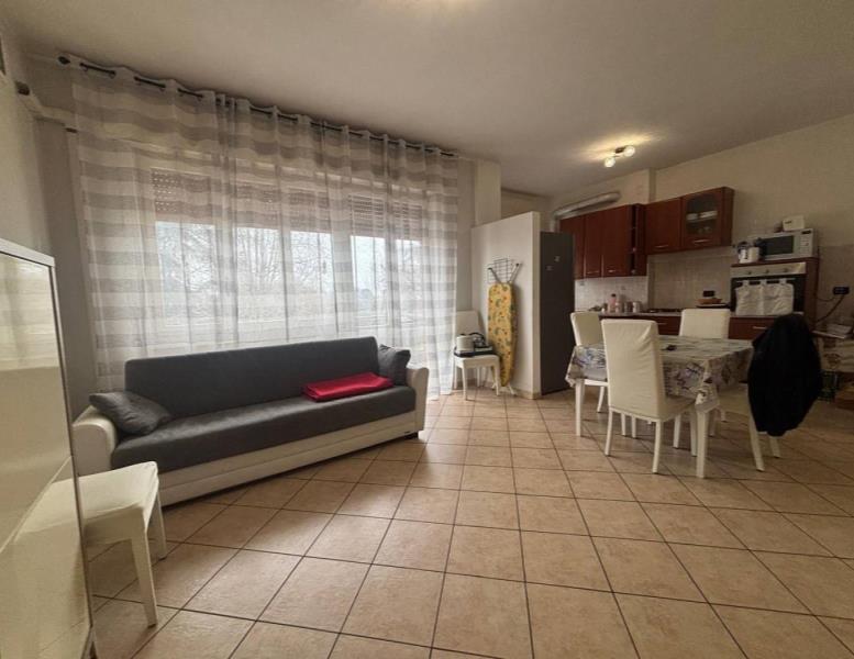 immagine annuncio 2 di 14