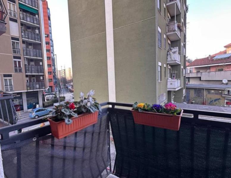 immagine annuncio 5 di 12