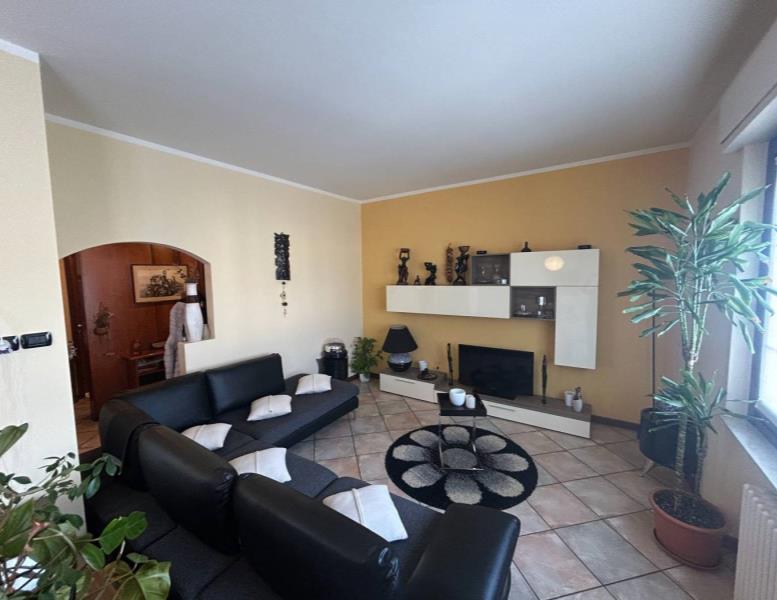 immagine annuncio 1 di 14