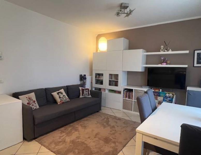 immagine annuncio 3 di 13