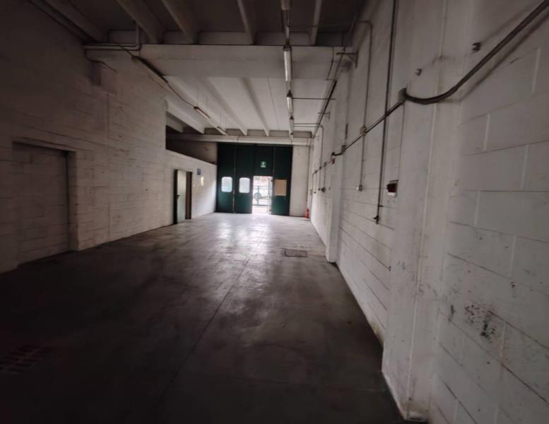 immagine annuncio 6 di 14