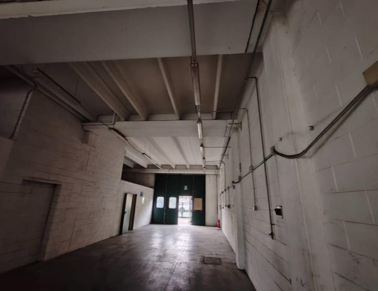 immagine annuncio 8 di 14