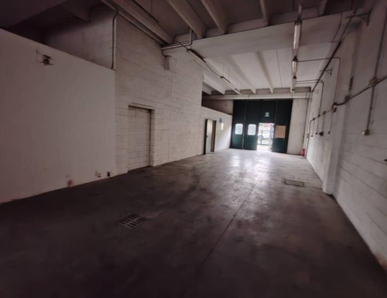 immagine annuncio 5 di 14