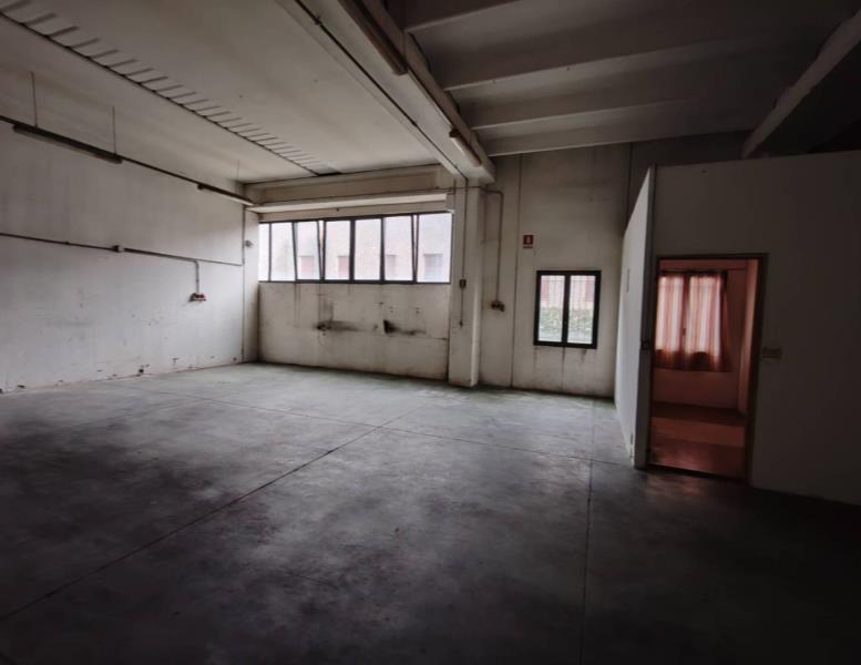 immagine annuncio 4 di 14