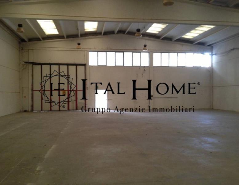 immagine annuncio 4 di 8