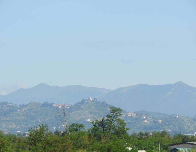 immagine annuncio 9 di 14