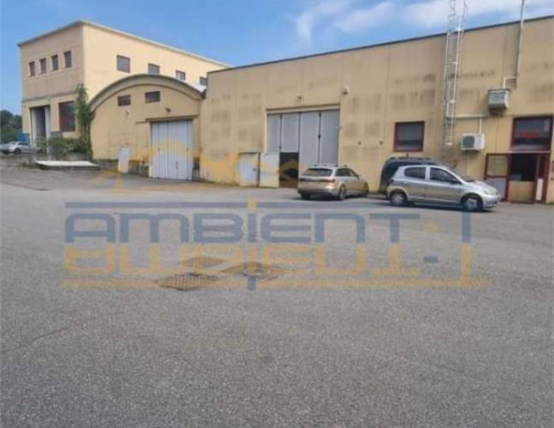 immagine annuncio 8 di 12