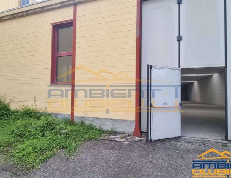 immagine annuncio 3 di 12