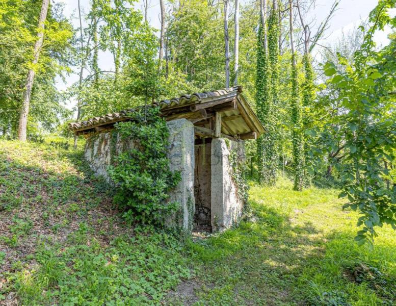 immagine annuncio 11 di 15