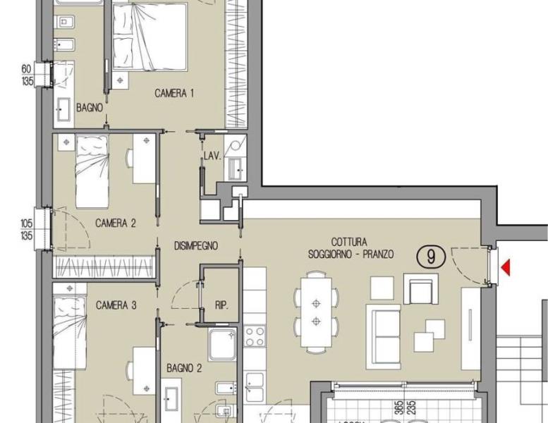 immagine annuncio 9 di 12