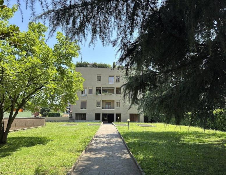 immagine annuncio 6 di 11