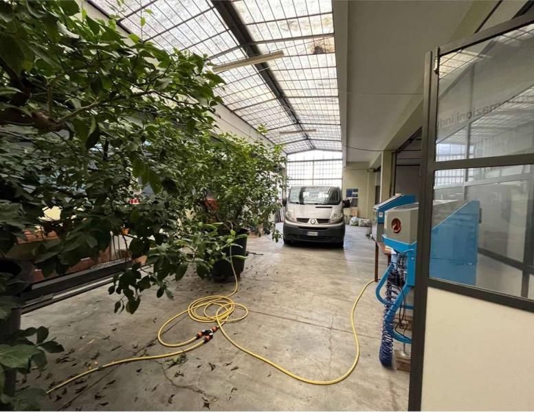 immagine annuncio 6 di 13