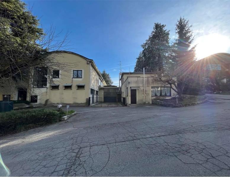 immagine annuncio 2 di 13