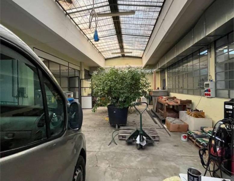 immagine annuncio 5 di 13