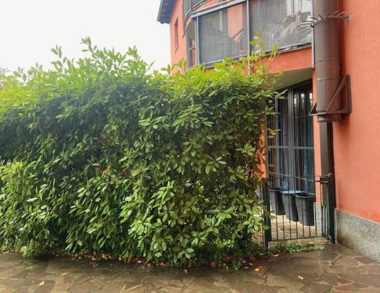 immagine annuncio 7 di 8