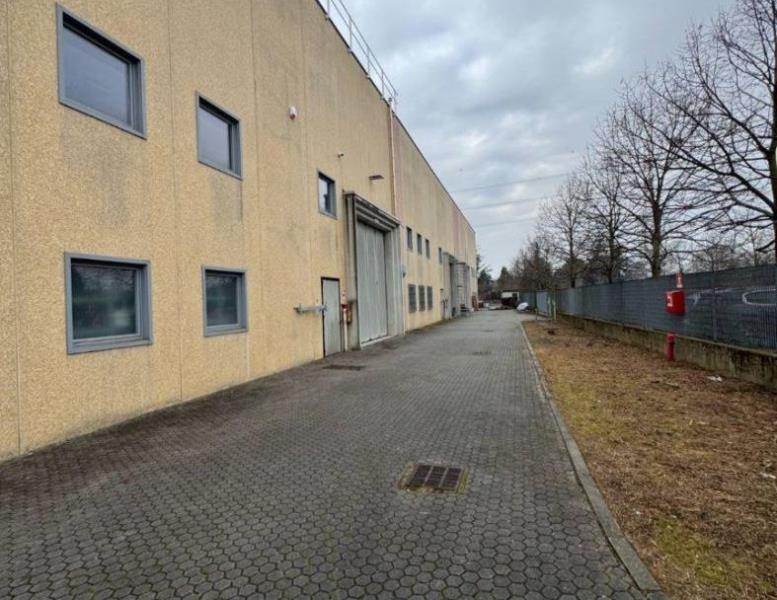 immagine annuncio 2 di 15