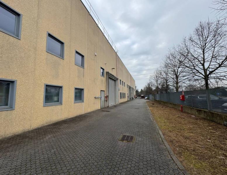 immagine annuncio 1 di 15