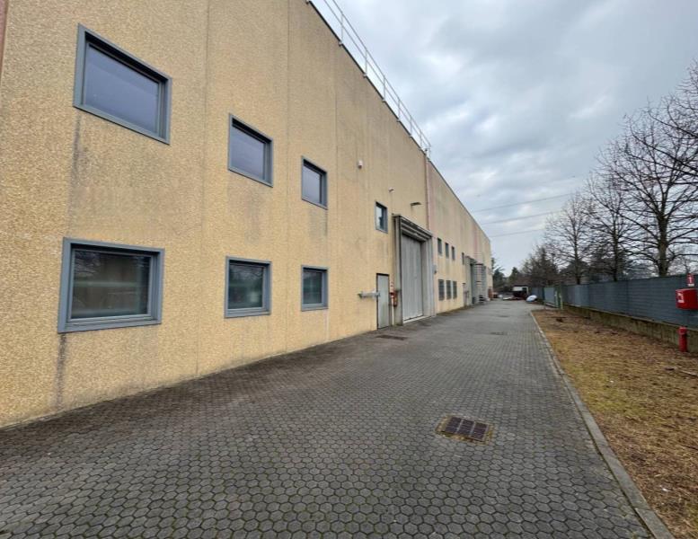 immagine annuncio 1 di 15