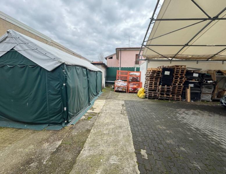 immagine annuncio 5 di 14