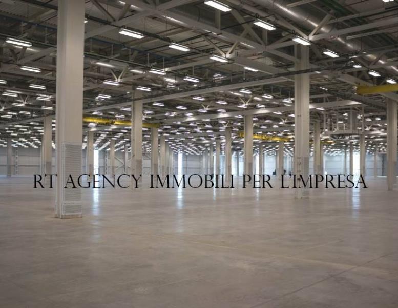 immagine annuncio 12 di 14