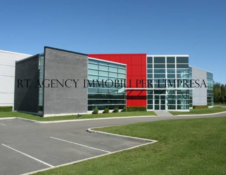 immagine annuncio 6 di 11