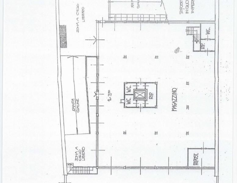 immagine annuncio 6 di 7