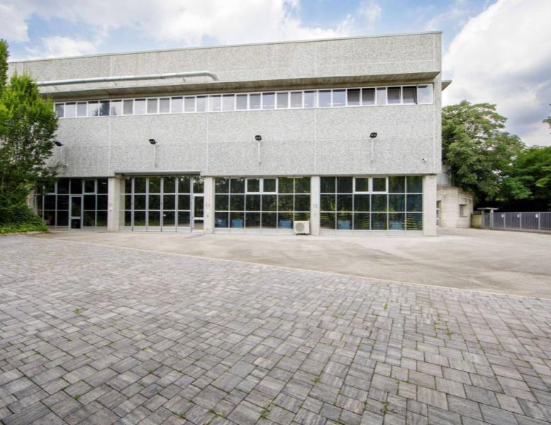 immagine annuncio 7 di 11