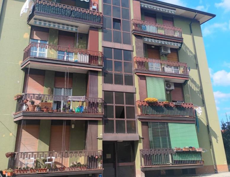 immagine annuncio 1 di 15