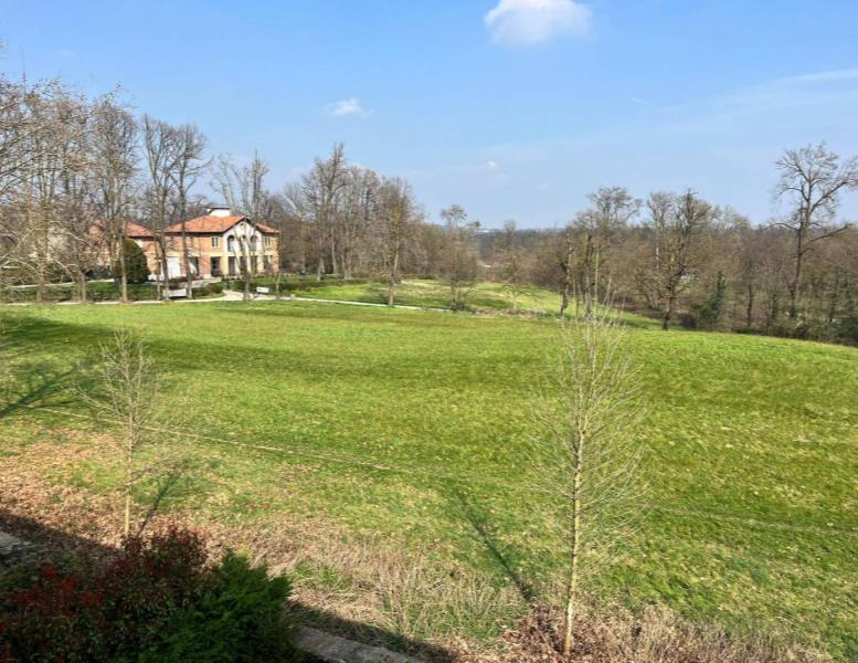 immagine annuncio 5 di 9