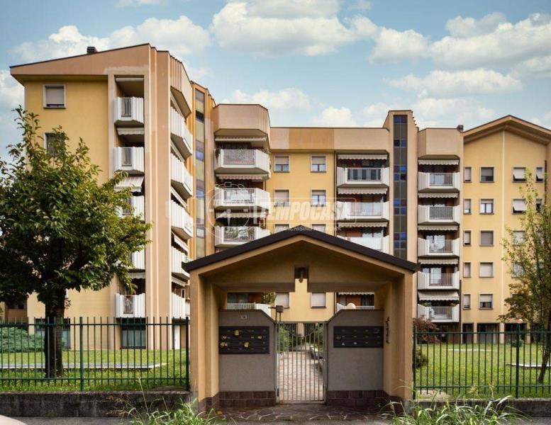 immagine annuncio 4 di 6