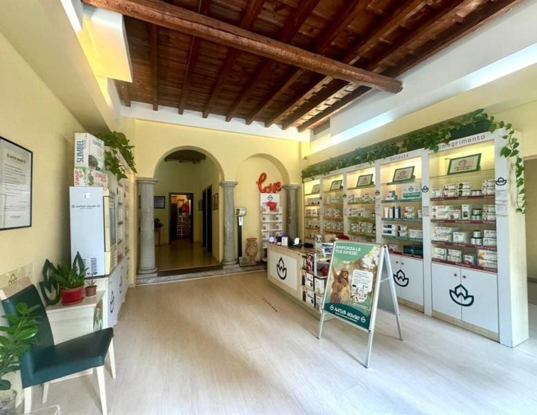 immagine annuncio 4 di 12