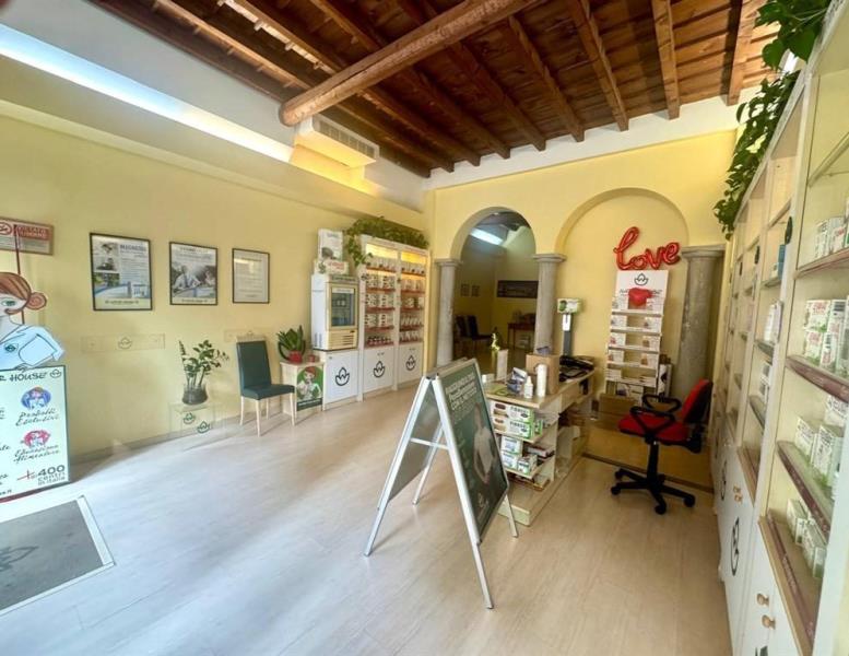 immagine annuncio 5 di 12