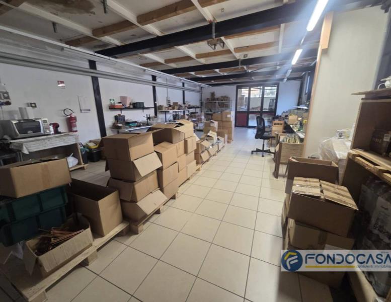 immagine annuncio 2 di 13