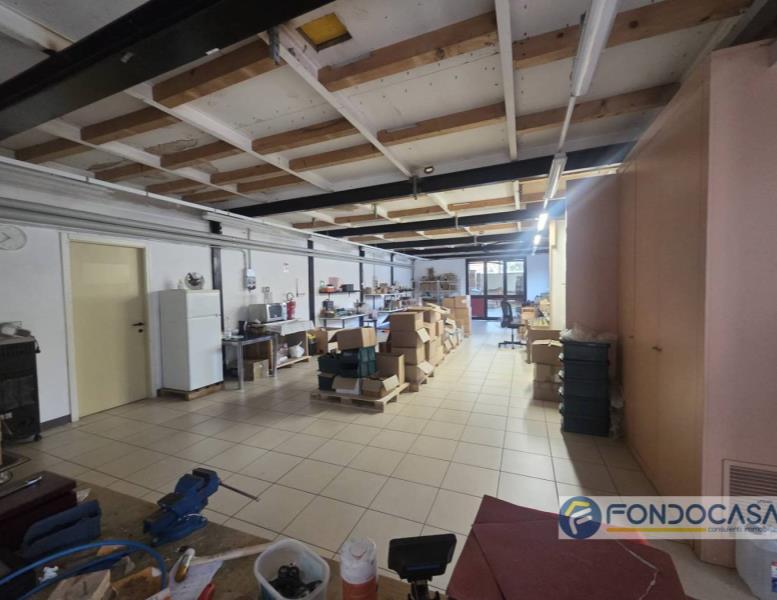 immagine annuncio 1 di 13