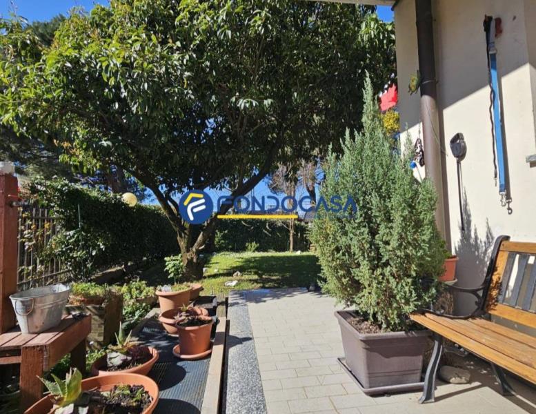 immagine annuncio 11 di 14