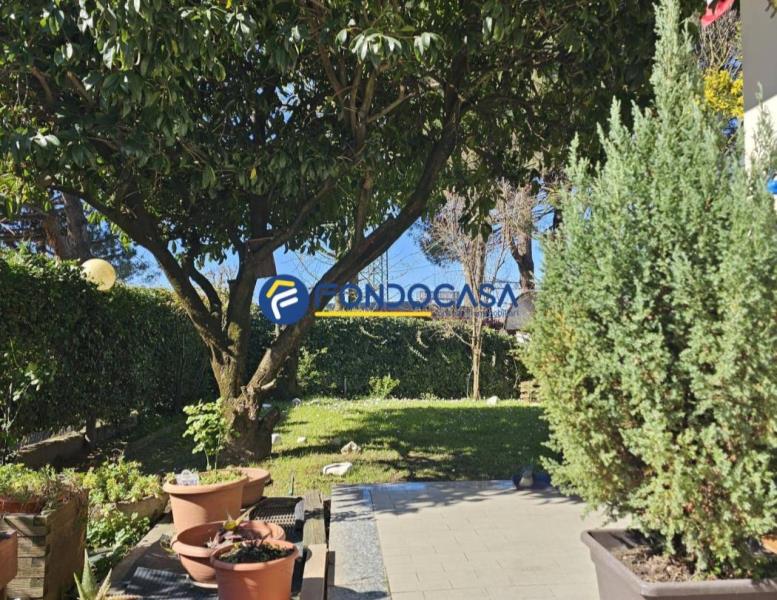 immagine annuncio 9 di 14