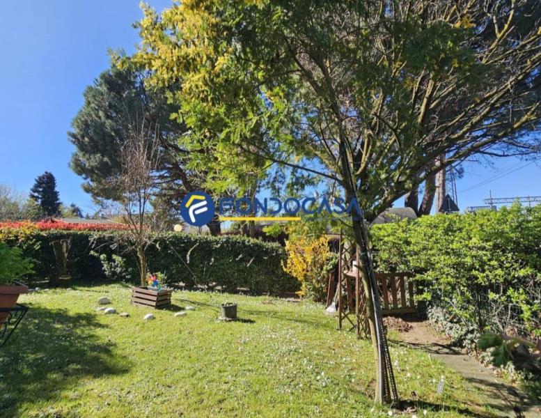 immagine annuncio 7 di 14