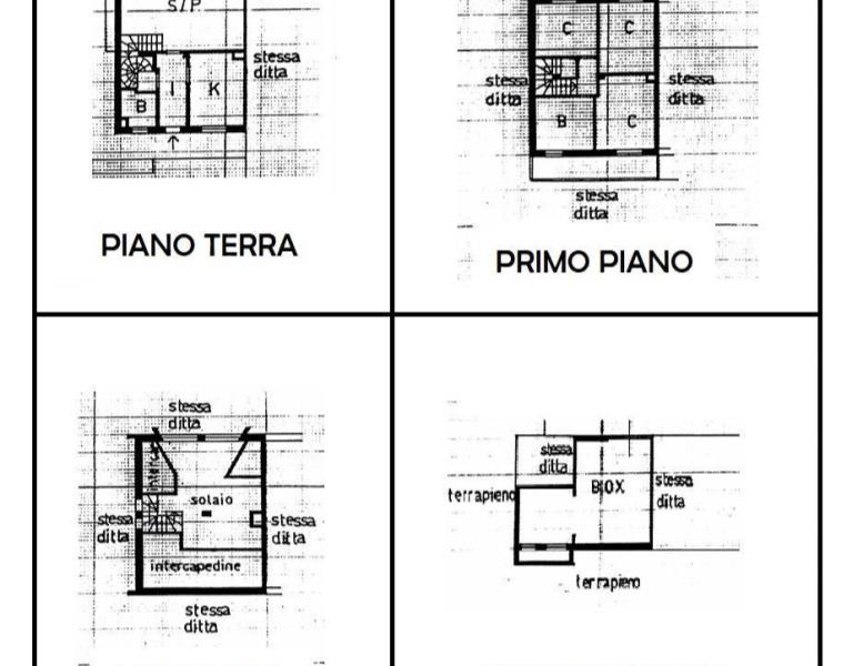 immagine annuncio 1 di 14