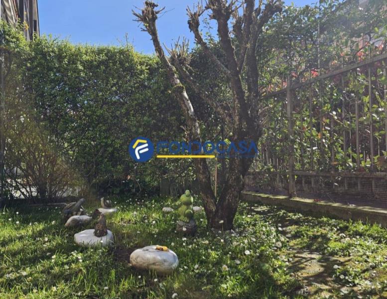 immagine annuncio 13 di 14