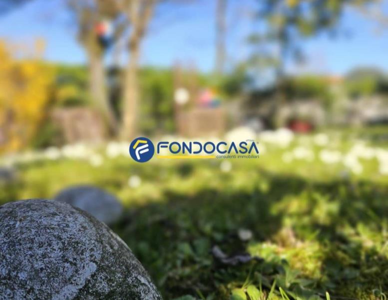 immagine annuncio 4 di 14