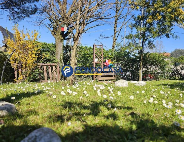 immagine annuncio 3 di 14