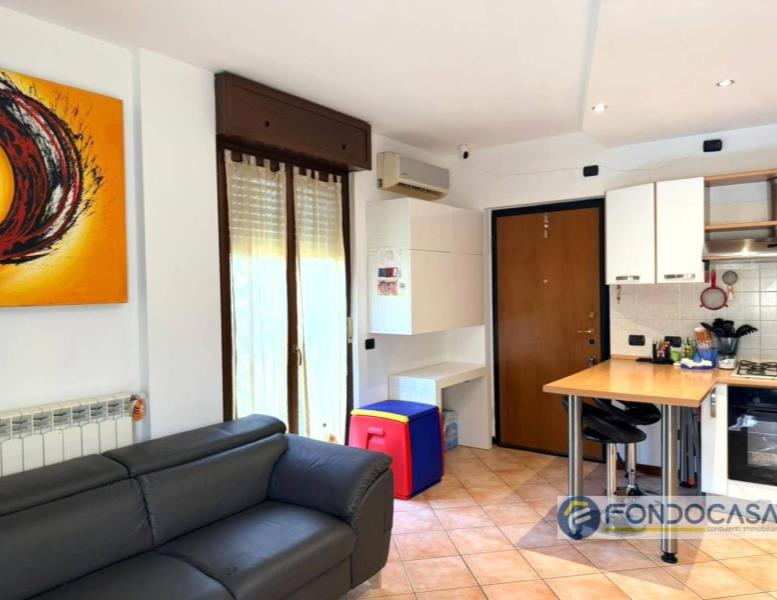 immagine annuncio 6 di 15