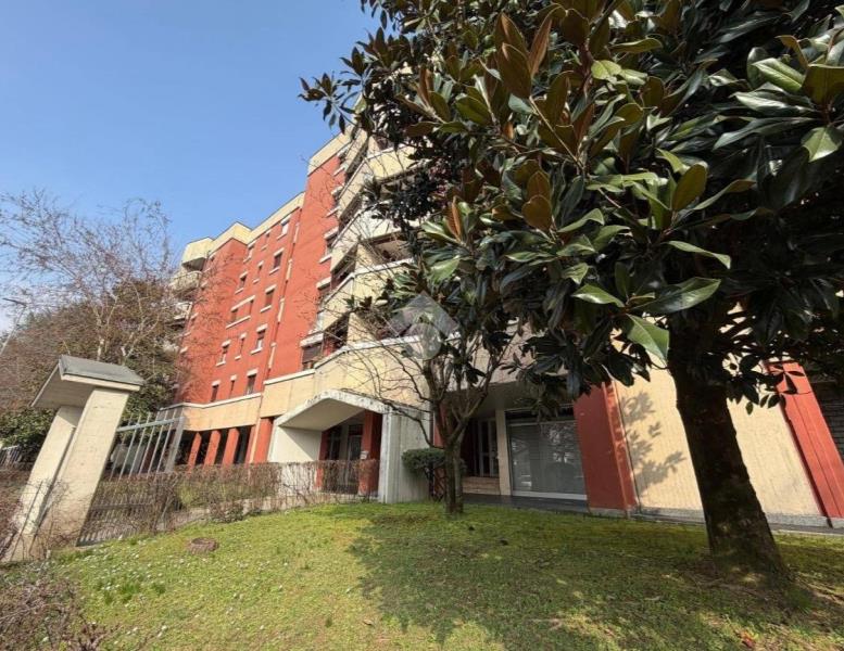 immagine annuncio 9 di 12