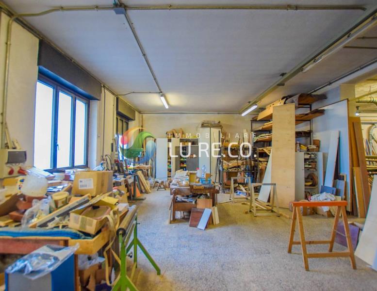 immagine annuncio 6 di 15