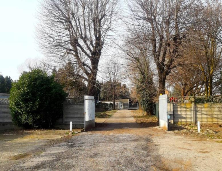 immagine annuncio 11 di 15