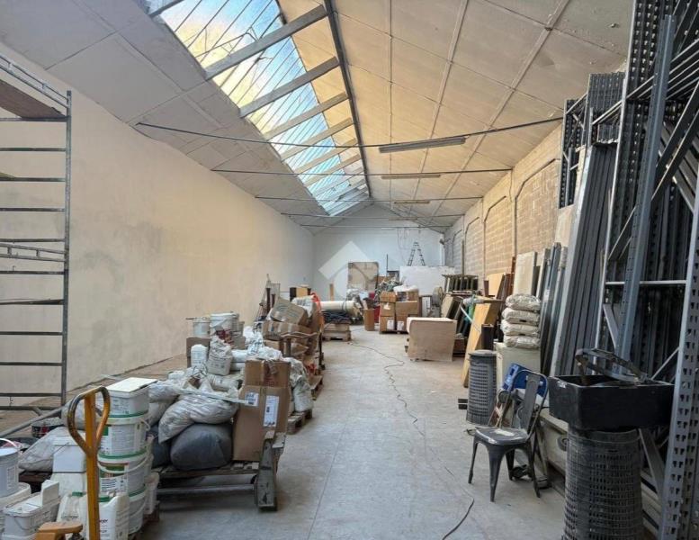 immagine annuncio 3 di 14